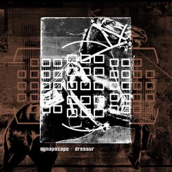 Cover Synapscape - Discorrode