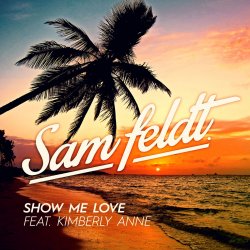 Cover Sam Feldt - Save Tonight