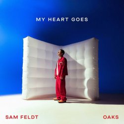 Cover Sam Feldt - Been A While