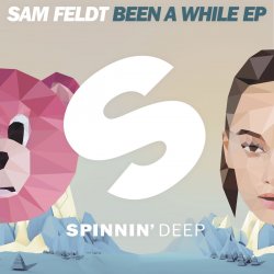 Cover Sam Feldt - Deja Vu