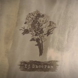 Cover Ed Sheeran - Bloodstream