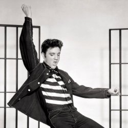 Cover Elvis Presley - (Let Me Be Your) Teddy Bear