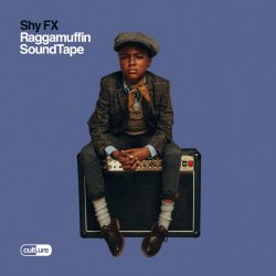 Cover Shy FX - Special Request