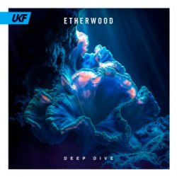 Cover Etherwood - Deep Dive