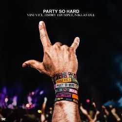 Cover Vini Vici & Timmy Trumpet & Niklas Dee - Party So Hard