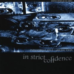 Cover In Strict Confidence - Industrial Love (Tragic Version By Somka)
