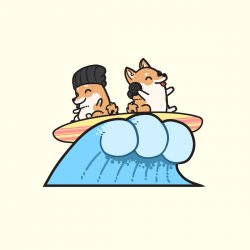 Cover Hyper Potions - Surf