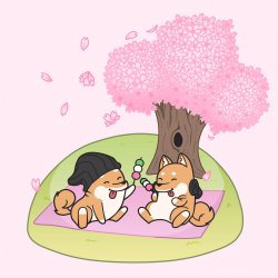 Cover Hyper Potions - Cherry Blossoms