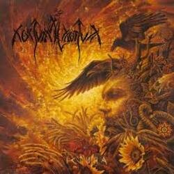 Cover Nokturnal Mortum - Sorrow Of Native Lands