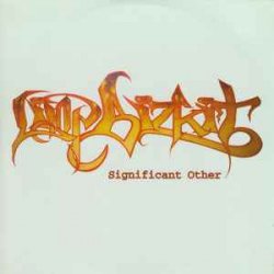 Cover Limp Bizkit - N 2 Gether Now Feat. Method Man
