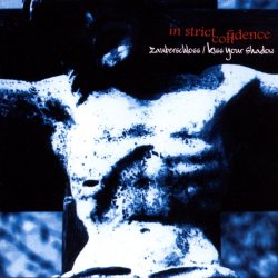 Cover In Strict Confidence - Der Hass
