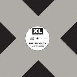 Cover The Prodigy - Everybody In The Place (Original Mix)