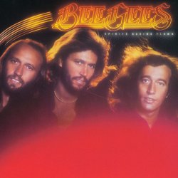 Cover Bee Gees - Holiday
