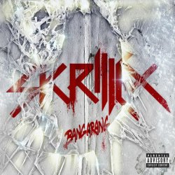 Cover Skrillex - Go On