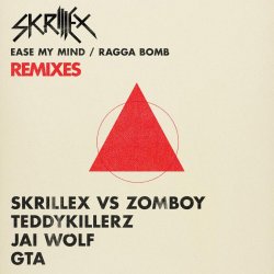 Cover Skrillex - Fuck That