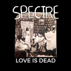Cover Spectre - Hedgamez