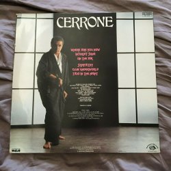 Cover Cerrone - Your Love Survived