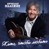 Cover Вячеслав Малежик - В лето билеты Вячеслав Малежик - В лето билеты