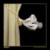 Cover ADULT. - Does The Body Know ADULT. - Does The Body Know
