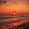 Cover DJ JEDY - Feeling Slow DJ JEDY - Feeling Slow