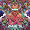 GMS & Stryker - Rikart