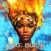 Cover MD Dj - Fire Burn MD Dj - Fire Burn