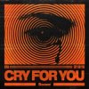 Cover Ilyaa - Cry for You Ilyaa - Cry for You