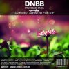 Cover DJ Roots - Sorriso De Flor DJ Roots - Sorriso De Flor