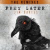 Cover Jim Davies - Prey Later (Dex Remix) Jim Davies - Prey Later (Dex Remix)