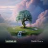 Cover Quasar-89 - Fragile Calm Quasar-89 - Fragile Calm