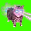 Cover XertXetin - OIIA OIIA COSMIC Spinning CAT XertXetin - OIIA OIIA COSMIC Spinning CAT