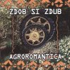 Cover Zdob și Zdub - Tempo Zdob și Zdub - Tempo