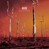 Muse - New Born (XX Anniversary RemiXX)