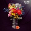 Cover Rocco Vice - Der Mond Rocco Vice - Der Mond