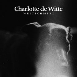 Cover Charlotte De Witte - Weltschmerz (Melodic Theme)