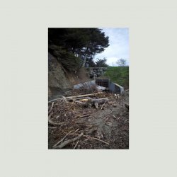 Cover Mac DeMarco - Chicago