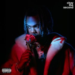 Cover CKay - forever