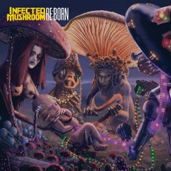 Cover Infected Mushroom - UMF Radio
