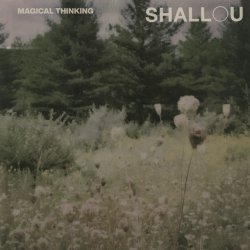 Cover Shallou - Forget