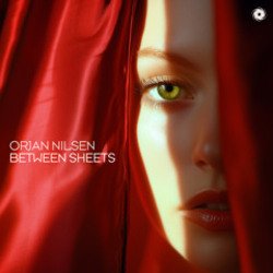 Cover Orjan Nilsen - Between The Rays