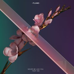 Cover Flume - Never Be Like You (Feat. Kai)