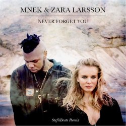 Cover Mnek vs. Zara Larsson - Never Forget You (Stefiibeats Remix)