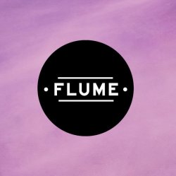 Cover Flume & Chet Faker - Drop The Game (Echo 6 Remix)