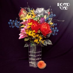 Cover Rocco Vice - Füll sie ab