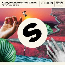 Cover Alok, Bruno Martini, Zeeba - Never Let Me Go (Extended Mix)