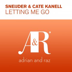 Cover Sneijder & Cate Kanell - Letting Me Go (Original Mix)