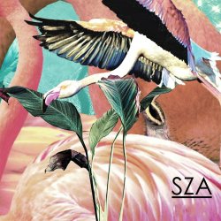 Cover SZA - Castles