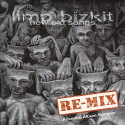Cover Limp Bizkit - Break Stuff (Remixed By DJ Lethal)