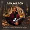 Cover Dan Wilson - Bird of Beauty Dan Wilson - Bird of Beauty