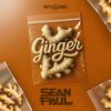 Cover Sean Paul - Ginger Sean Paul - Ginger